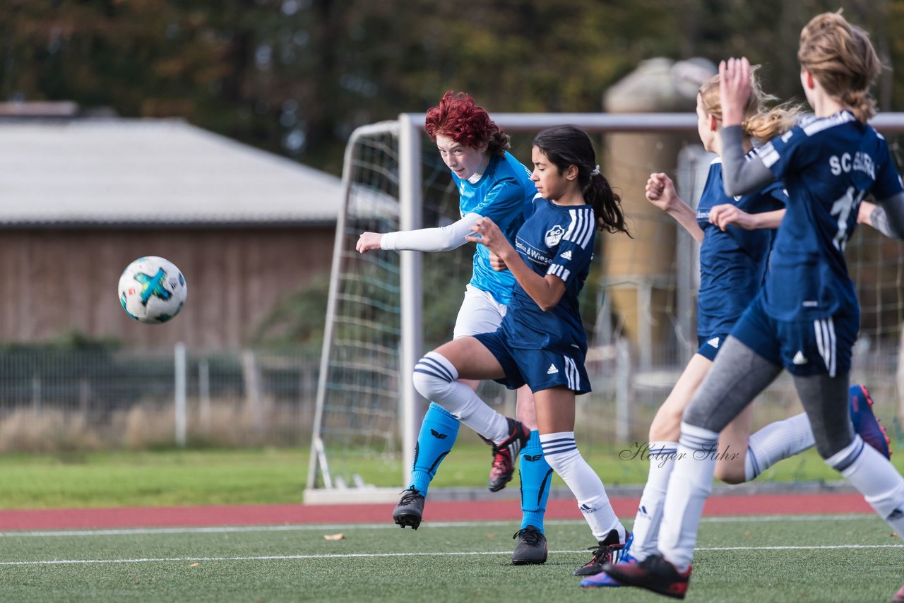 Bild 293 - wCJ Ellerau - VfL Pinneberg : Ergebnis: 1:10